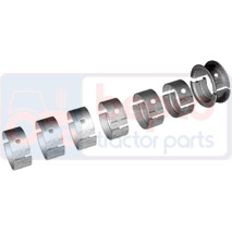 MAIN BEARING SET Ø 65 MM, Renault / Claas, 900 - 951-4, Engine and components, Crankshaft and Flywheel, Landing Pad, 0123004400(6X)+, 0123004800, , MAIN BEARING SET Ø 65 MM, 28/2-60, 0123004400(6X)+, 0123004800, , 0.00 kg