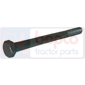 BOLT         , Deutz, DX - DX55