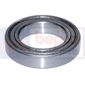 BEARING         , Massey Ferguson, 200 - 240