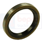 OIL SEAL 30x38x6        , Massey Ferguson, 300 - 374AQ