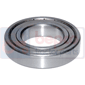 BEARING         , Massey Ferguson, 300 - 390E