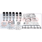 ENGINE OVERHAUL KIT         , Renault / Claas, 90 - 95-14