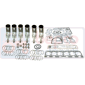 ENGINE OVERHAUL KIT         , Massey Ferguson, 3100 - 3125