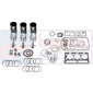 OVERHAUL KIT , Fendt, Farmer Classique - 2S, Engine and components, Pistons-Ring sets-Liners, Overhaul kit