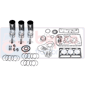 OVERHAUL KIT, Fendt, TS - TS60, Dzinējs un tā sastāvdaļas, Virzuļi-Gredzenu komplekti-Čaulas, Kapitālā remonta komplekti