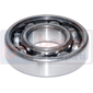 BEARING , Massey Ferguson, 300 - 374GE, Transmission, PTO, Ring and PTO shaft bearing