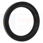 PTO OIL SEAL , Renault / Claas, 600 - 651S, Transmission, PTO, Ring and PTO shaft bearing