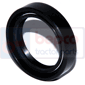 PTO OIL SEAL , Deutz, 07 - 4007, Transmission, PTO, Ring and PTO shaft bearing