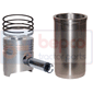 KIT SET PIN PISTON Ø = 32 MM        , Renault / Claas, 900 - 981