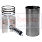 KIT SET , Fendt, Farmer 100 - 106LSA, Engine and components, Pistons-Ring sets-Liners, Kit set