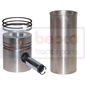 KIT SET , Massey Ferguson, 100 - 194S, Engine and components, Pistons-Ring sets-Liners, Kit set