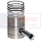 PISTON WITH RINGS , Massey Ferguson, Engine and components, Pistons-Ring sets-Liners, Piston and ring