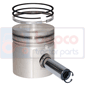 PISTON WITH RINGS , Massey Ferguson,  - 8925, Engine and components, Pistons-Ring sets-Liners, Piston and ring