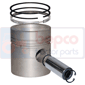 PISTON WITH RINGS         , Massey Ferguson, 100 - 135