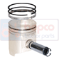 PISTON WITH RINGS         , New Holland, TS - TS80