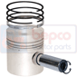 PISTON WITH RINGS         , Ford, 00 - 8100