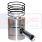 PISTON WITH RINGS , Massey Ferguson, 100 - 175, Engine and components, Pistons-Ring sets-Liners, Piston and ring