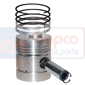 PISTON WITH RINGS 0.030''-0.762mm        , Massey Ferguson, 300 - 374AQ