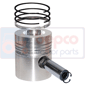 PISTON WITH RINGS , Massey Ferguson, 100 - 194S, Engine and components, Pistons-Ring sets-Liners, Piston and ring