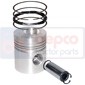 PISTON WITH RINGS , Deutz, DX6 - DX6.06, Engine and components, Pistons-Ring sets-Liners, Piston and ring