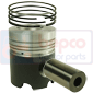 PISTON WITH RINGS         , Deutz, 06 - 13006