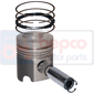 PISTON WITH RINGS         , Deutz, DX - DX250V