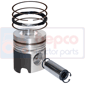 PISTON WITH RINGS , Deutz, Agroprima - Agroprima 4.56, Engine and components, Pistons-Ring sets-Liners, Piston and ring