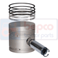 PISTON WITH RINGS , Massey Ferguson, 100 - 130, Engine and components, Pistons-Ring sets-Liners, Piston and ring