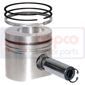 PISTON WITH RINGS         , Renault / Claas, 100 - 103-14