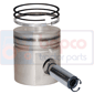 PISTON WITH RINGS         , Massey Ferguson, 600 (Brasil - South Africa) - 640