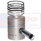 PISTON WITH RINGS         , Massey Ferguson, 2600 - 2640