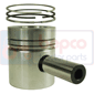 PISTON WITH RINGS         , Massey Ferguson, 300 - 390E