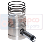 PISTON WITH RINGS , Massey Ferguson, Engine and components, Pistons-Ring sets-Liners, Piston and ring