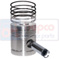 PISTON WITH RINGS , Massey Ferguson, Engine and components, Pistons-Ring sets-Liners, Piston and ring