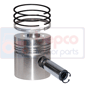 PISTON WITH RINGS         , Massey Ferguson, 500 - 595