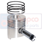 PISTON WITH RINGS , Fendt, Engine and components, Pistons-Ring sets-Liners, Piston and ring