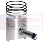 PISTON WITH RINGS , Fendt, Favorit Classique - 4, Engine and components, Pistons-Ring sets-Liners, Piston and ring