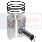 PISTON WITH RINGS         , Fendt, Favorit 600 - 611LS