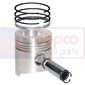 PISTON WITH RINGS , Fendt, Farmer 100 - 106LS, Engine and components, Pistons-Ring sets-Liners, Piston and ring