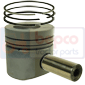 PISTON WITH RINGS , Fendt, Favorit 500 - 511, Engine and components, Pistons-Ring sets-Liners, Piston and ring