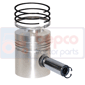 PISTON WITH RINGS , Fendt, Farmer 200 - 203P, Engine and components, Pistons-Ring sets-Liners, Piston and ring