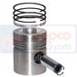 PISTON WITH RINGS         , Massey Ferguson, 1000 - 1130