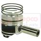 PISTON WITH RINGS         , Lamborghini, F Plus - 990-F Plus