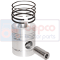 PISTON WITH RINGS , JCB, 540 - 540BM2, Engine and components, Pistons-Ring sets-Liners, Piston and ring