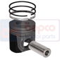 PISTON WITH RINGS         , JCB, 540 - 540-70LE Sway (AR)