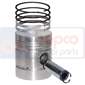 PISTON WITH RINGS , Massey Ferguson, 100 - 133, Engine and components, Pistons-Ring sets-Liners, Piston and ring