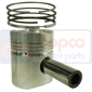 PISTON WITH RINGS         , Same, Minitauro - Minitauro 60