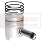 PISTON WITH RINGS 0.020''-0.51mm        , Ford, 000 - 2000