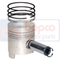 PISTON WITH RINGS         , Ford,  - 3120