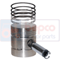 PISTON WITH RINGS , Massey Ferguson, Engine and components, Pistons-Ring sets-Liners, Piston and ring